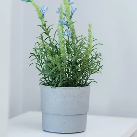 Center By Renters Apartmán Varšava